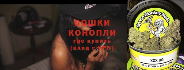 шишки Алзамай