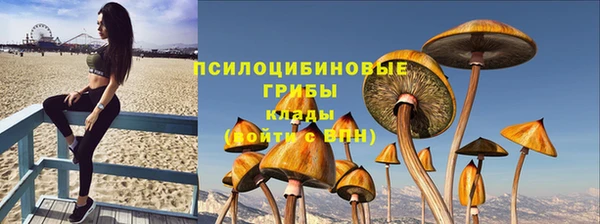шишки Алзамай