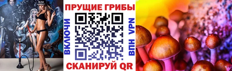 Псилоцибиновые грибы Psilocybe  купить наркотик  Орёл 